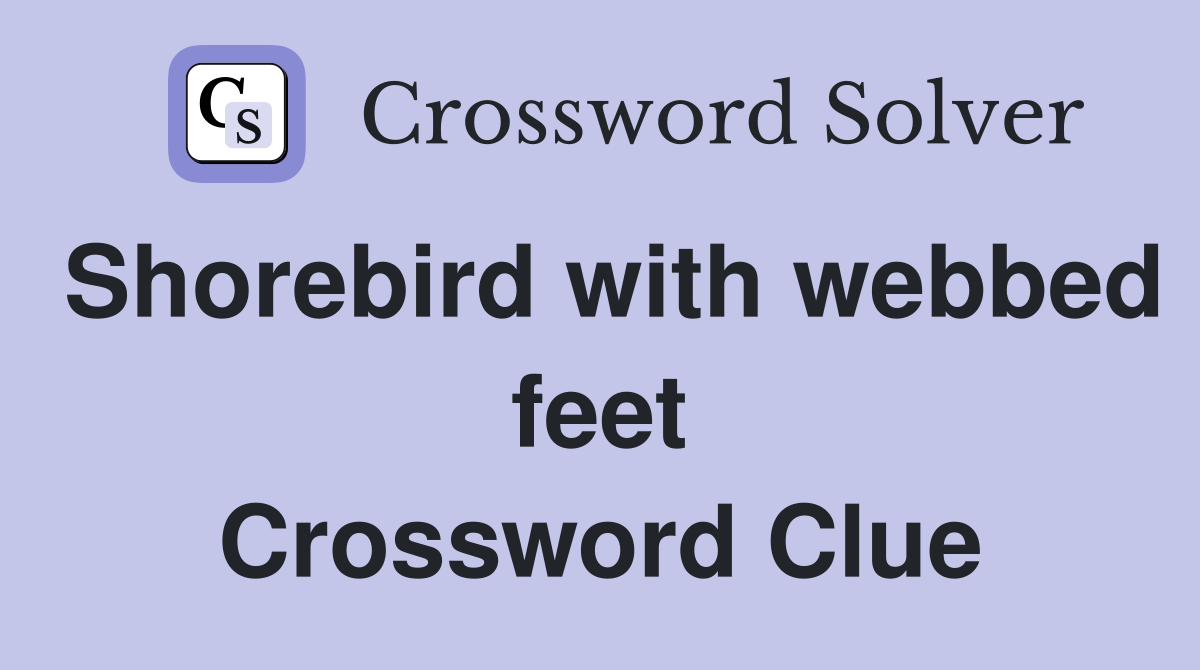 Shorebird with webbed feet Crossword Clue Answers Crossword Solver